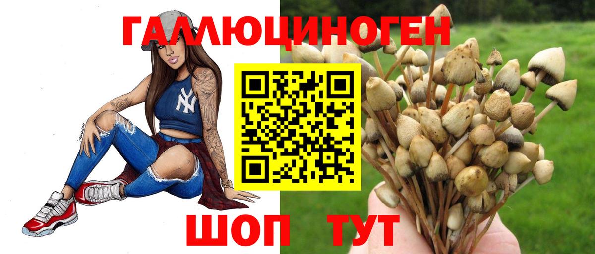 Галлюциногенные грибы Magic Shrooms Славянск-на-Кубани